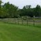 Wooden Fence
