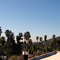 View from Hollywood Hills, Los Angeles, Ca.