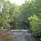 Pequest Wildlife Management Area