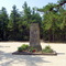 Carranza, Mexican Aviator Monument
