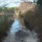 Bogs along Chatsworth Road