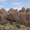 Rock wilderness