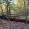 North Branch Of Big Timber Creek at the Laurel Ravine