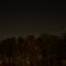 Stars rising over the treeline