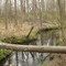 Stream from Steel Grate Bridge