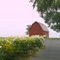 flowers red barn historic historic Sackets Harbor Battlelfield War 1812 NY