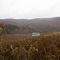 3917 WEST BRANCH ROAD