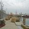 Newtown Creek Nature Trail