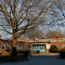 My Brooklyn:  Breukelen Houses Community Center