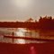 North Bay 1980