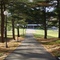 Corning Community College, View towards the Gymnasium
