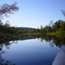 Great Swamp Reflection