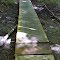 FLT CT07 3.3 mi - Puncheon, 24' long with ramps, same construction as preceding