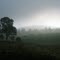 Irish Hill Road late summer morning