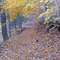path