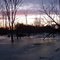 Frozen Rural Pond