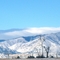 Longmont