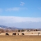 Longmont