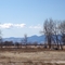 Longmont
