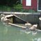 Barbara Johnson Park & Preserve at Baxter Pond