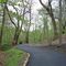 Flower Hill Park