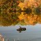 Autumn reflections [Congers, Rockland County, New York]