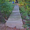 Church Springs Park