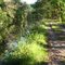 Lehigh Canal Trail