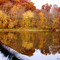 Fall on the Grand River