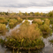 Sawhill Ponds (1)