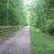Bike Trail Looking North