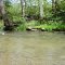 Creek At Lobdell Reserve