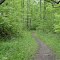 Down The Path Of Life