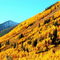 Fall in Crested Butte