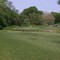 Cobbs Creek #5a