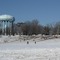 Burholme Park in winter