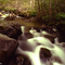 Deer Creek