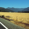 Dear Creek Rd - Looking towards Siskiyous
