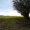 South of Ballston OR