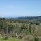 Territorial views from the Butler Hill Forest Reserve