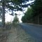 Gooseneck Road