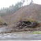 Clear Cutting