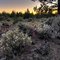 Evening in the Badlands Wilderness