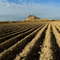 Malheur Butte and Row Crop Field