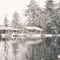 El Laguna