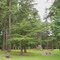 Pioneer Park