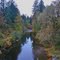 Thomas Creek looking West from the bridge .