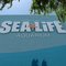 SEA LIFE Aquarium - Arizona Mills Mall