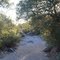 In Pima Wash