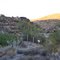 Chuckwalla perserve in Pima Wash